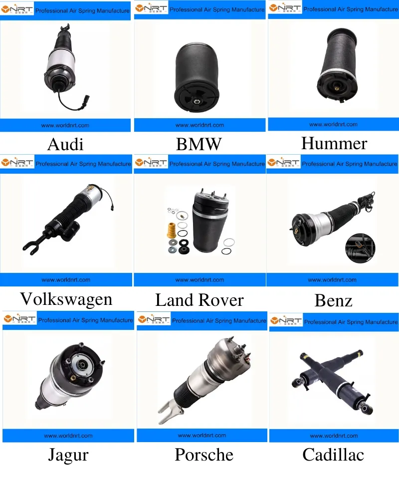 37121094614 Air Assembly Spring for BMW 5er E39 Rear Right Air Suspension Shock Absorber Strut