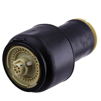 Air Bag Spring for BMW 5 Er F10 Rear Air Suspension Shock Strut High Quality 37106781827