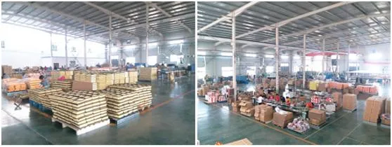 China Factory with Fine Quality and Good Price for Air Filter (03C 129 620F)