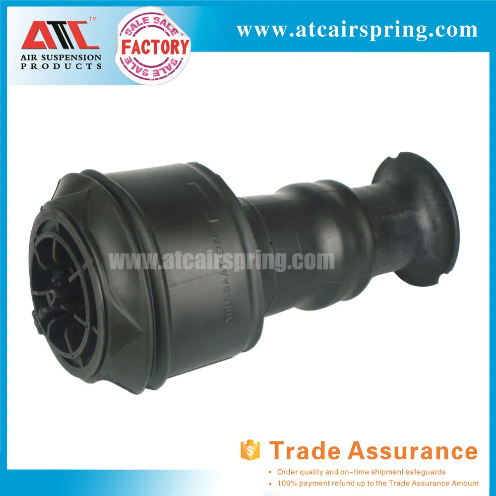Citroen C4 Picasso Rear Air Spring 5102gn 5102r8 9681946080 F307512401