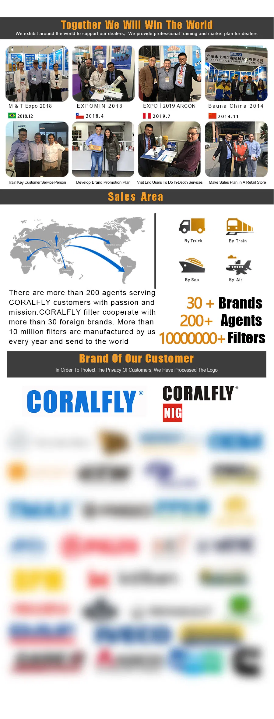 Coralfly Diesel Engine Excavator Roller Bulldozer Truck Marine Filters 1r0756 1r-0756 1r0756 for Caterpillar Fuel Filters