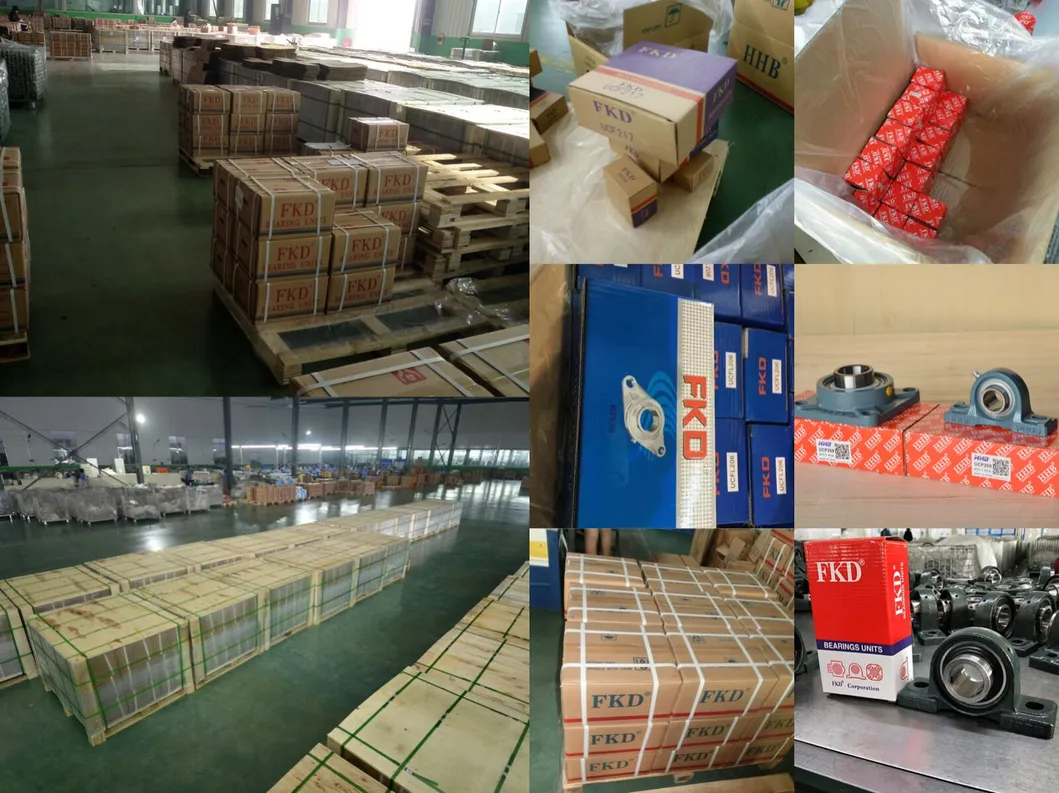 Deep Groove Ball Bearing (6202zz 2RS)