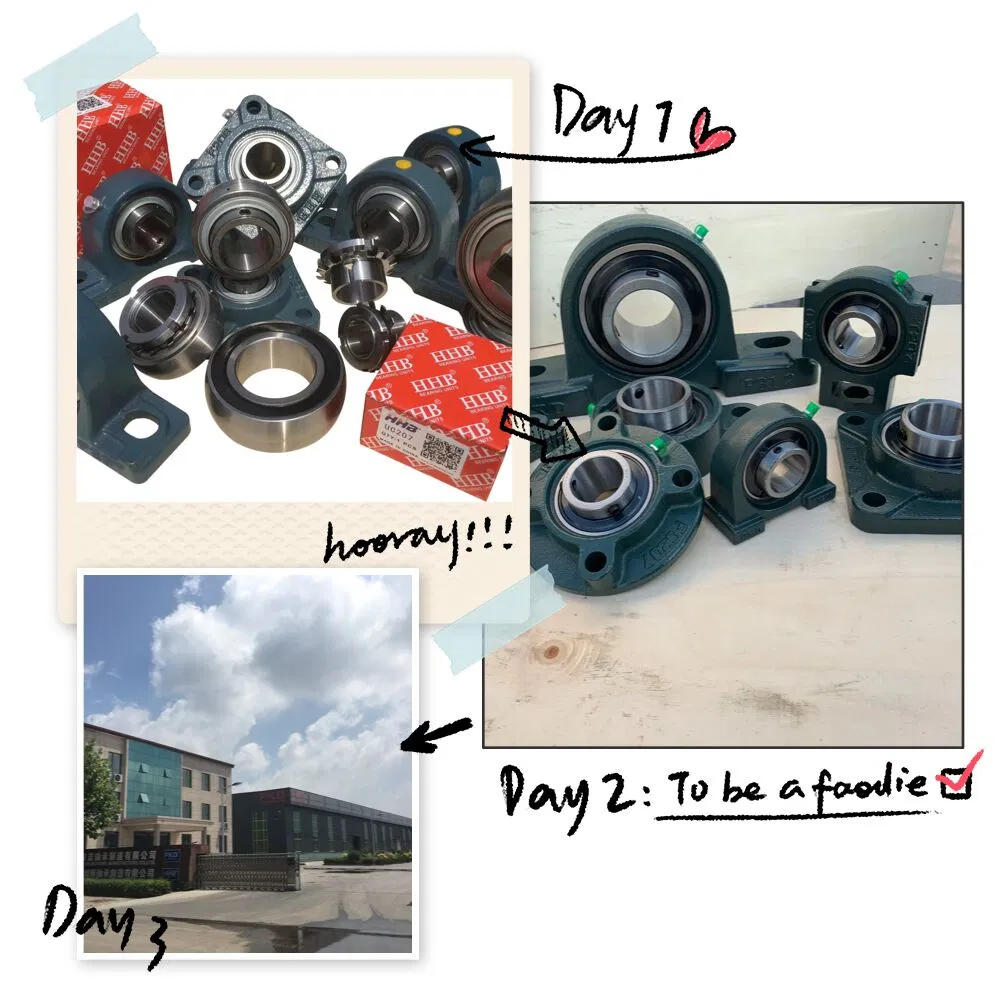 Deep Groove Ball Bearing (6202zz 2RS)
