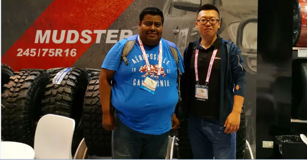DOT/ECE Approved China Mud Tyres Factory Wholesale All Steel Radial off Terrain Mud Tires, 4*4 Tyre, Good Quality Hill Climbing Tire