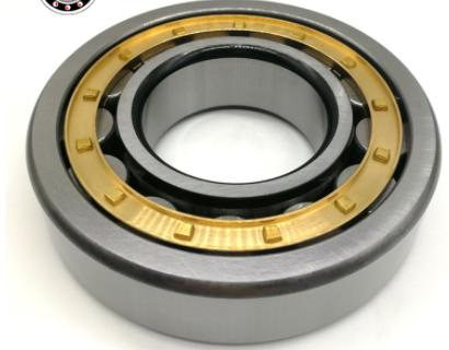 Japan Brand NSK Cylindrical Roller Bearing Koyo Bearing Nu205