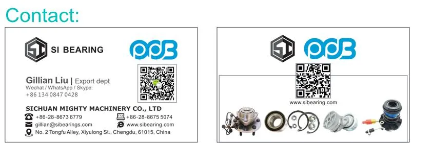 Ppb Brand Automatic Tensioner Pulley Bearing 457 200 2170 Vkmcv51007 531060530 for Mercedes-Benz Atego Axor Conecto Econic
