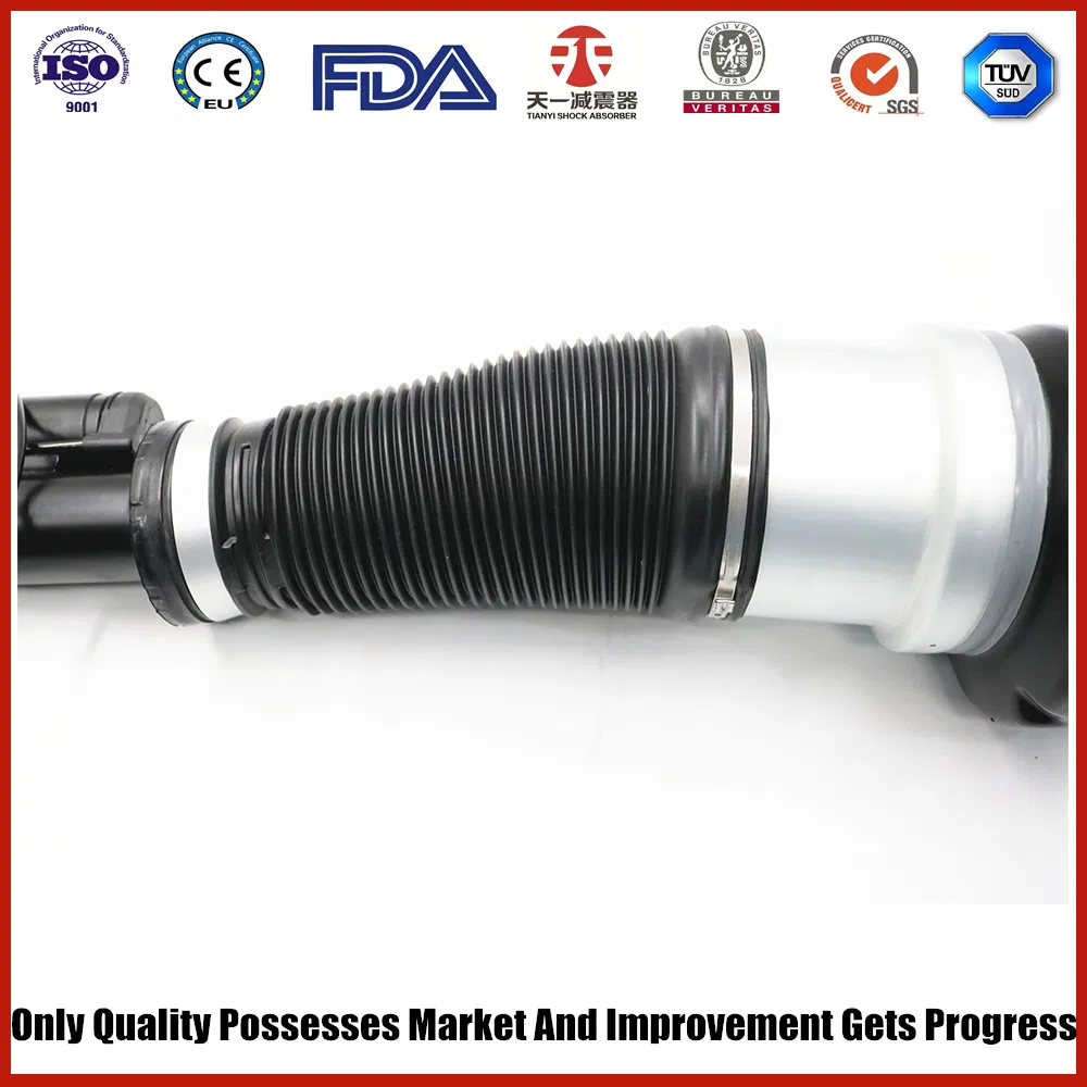 W221 S350 S500 Air Suspension Front 221 320 49 13