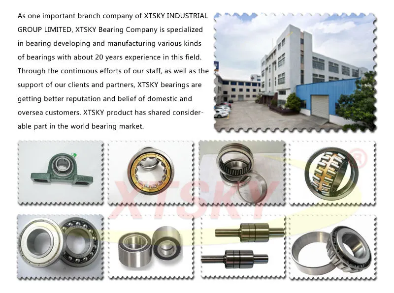 Xtsky Miniature Ball/ Mini Bearing Tube Packing (628)